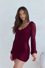 Rosy World Long Sleeve Knit Mini Dress Wine
