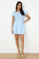 Like A Bluebird Dress